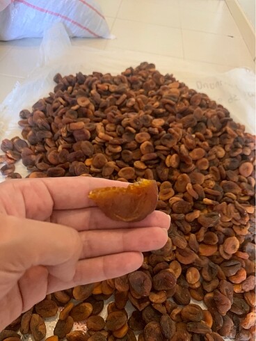 diğer Beden Malatya Organik Gün Kurusu (Yeni Mahsul)