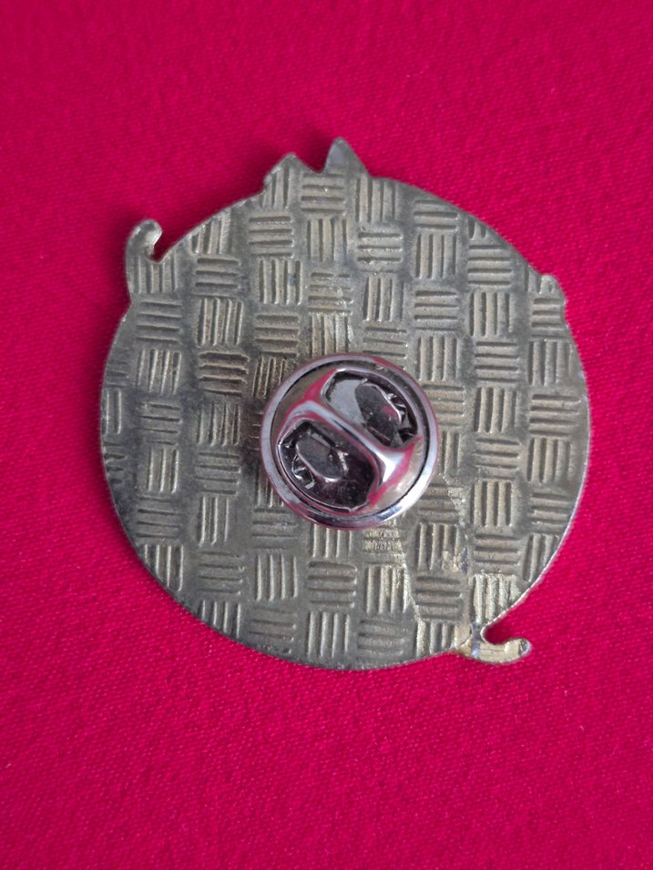 VİNTAGE COCA COLA KUTUP AYISI ROZET - Görsel 2