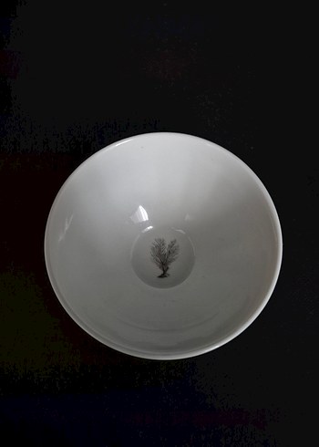 PAŞABAHÇE KOLEKSİYONLUK KASE - Görsel 4