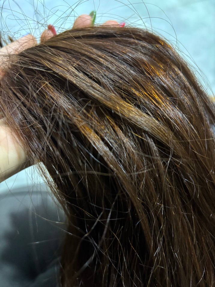 Kahverengi Parlak Kadın Saç Aksesuarı - Görsel 4