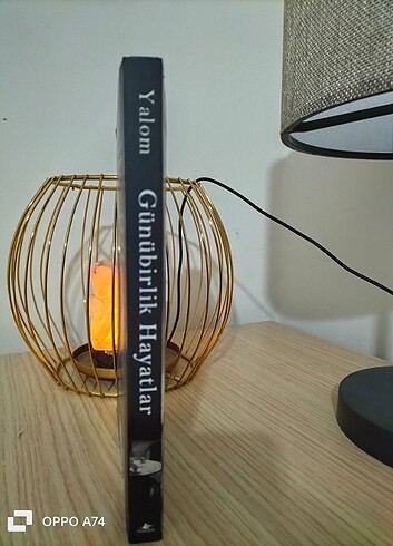 Irvin D. Yalom Günübirlik Hayatlar