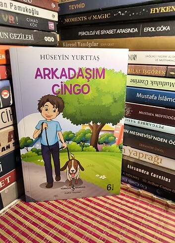 Arkadaşım cingo 