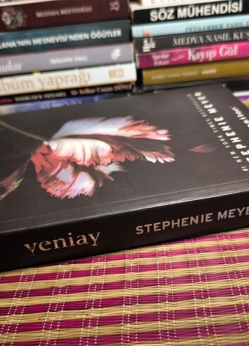  Stephenie Meyer Yeniay 