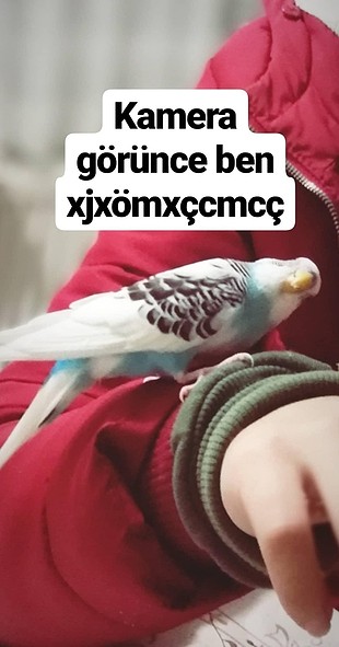  dkdkdkkdldld