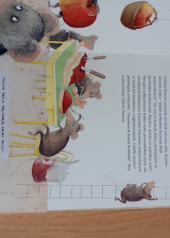 Yaramaz Fareler - Helga Bansch - Görsel 2