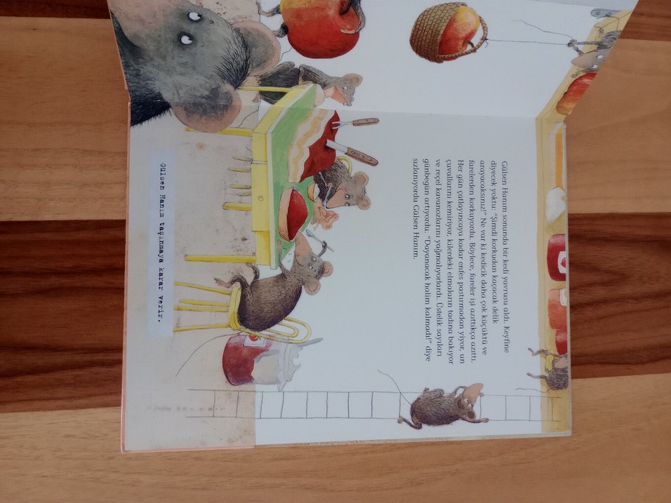 Yaramaz Fareler - Helga Bansch - Görsel 2