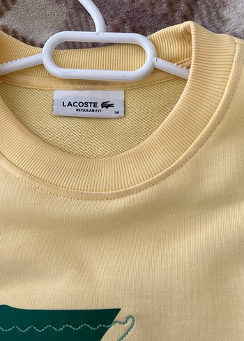 Sarı Baskılı Kadın Sweatshirt - Görsel 4