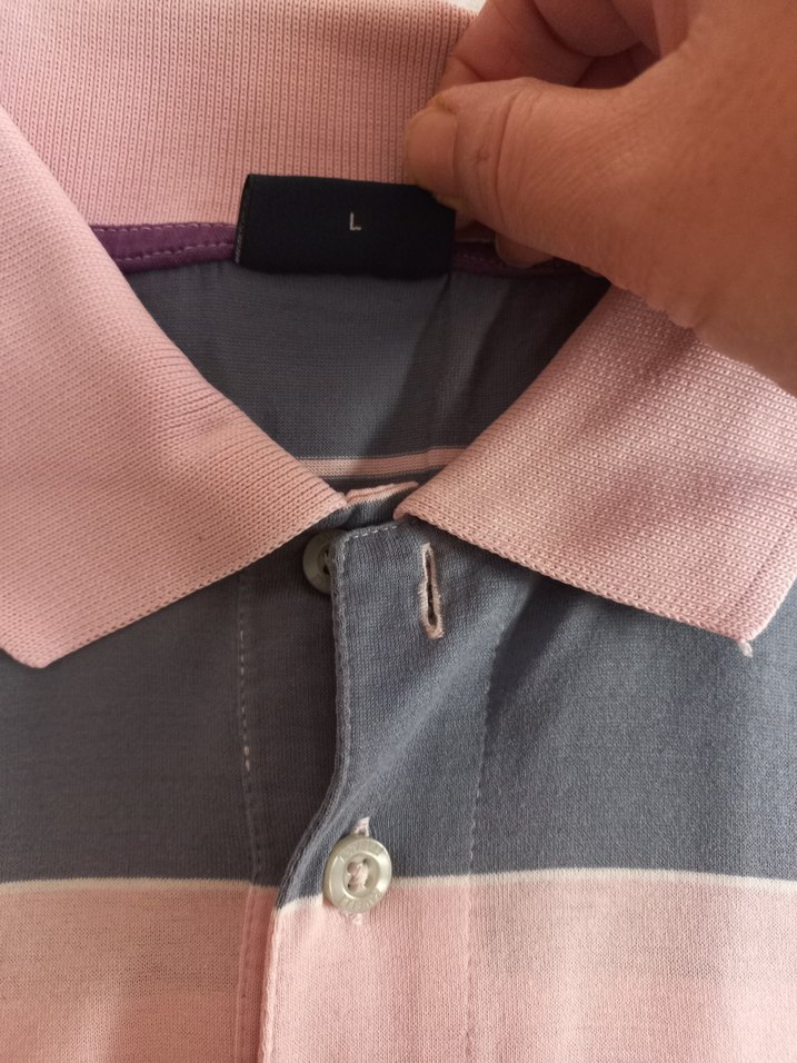 Rahat Kesim Renkli Çizgili Erkek Polo Tişört - Görsel 2