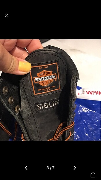 39 Beden Harley davidson bot