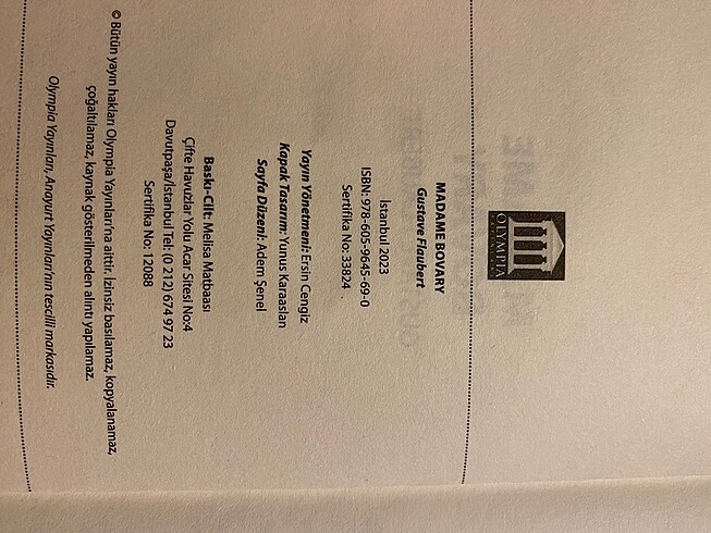 Madam Bovary - Görsel 3