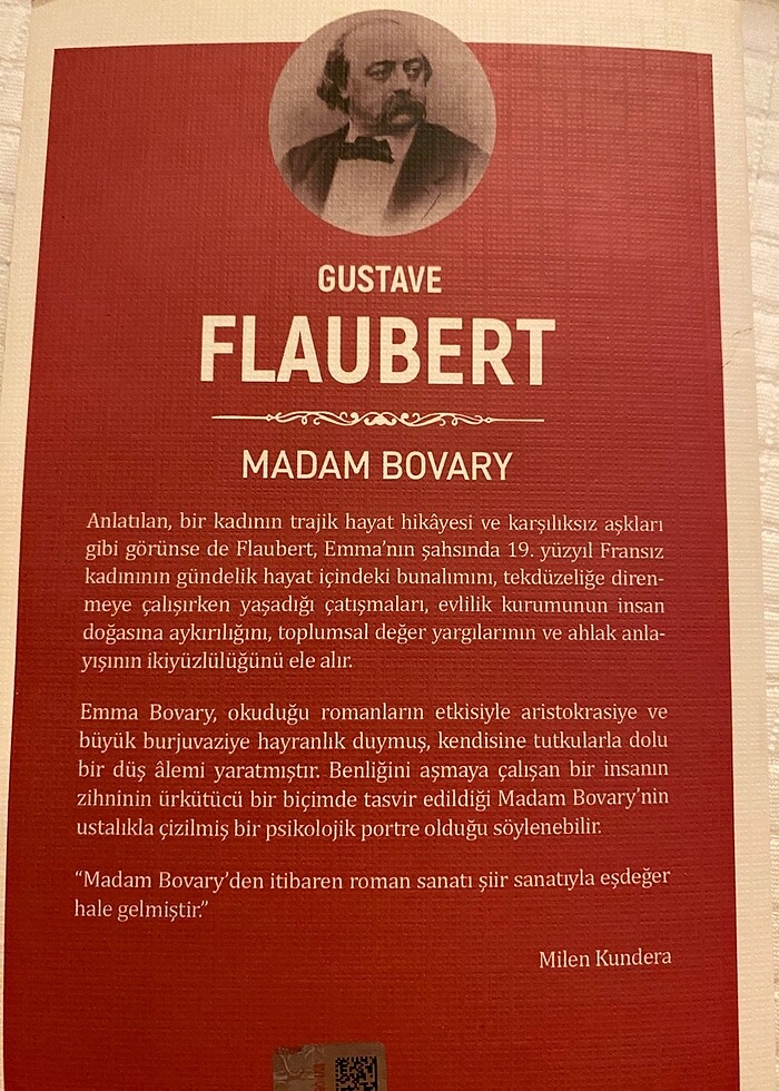 Madam Bovary - Görsel 2