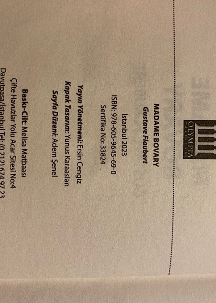 Madam Bovary - Görsel 3