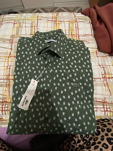 Lacoste erkek gömlek