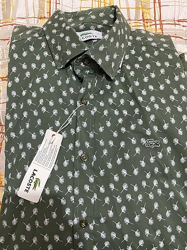 l Beden Lacoste erkek gömlek