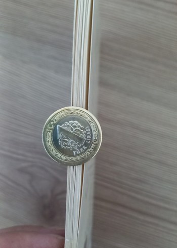 Bir Şeftali Bin Şeftali - Samed Behrengi can çocuk - Görsel 2