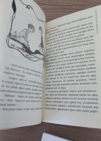 Bir Şeftali Bin Şeftali - Samed Behrengi can çocuk - Görsel 4