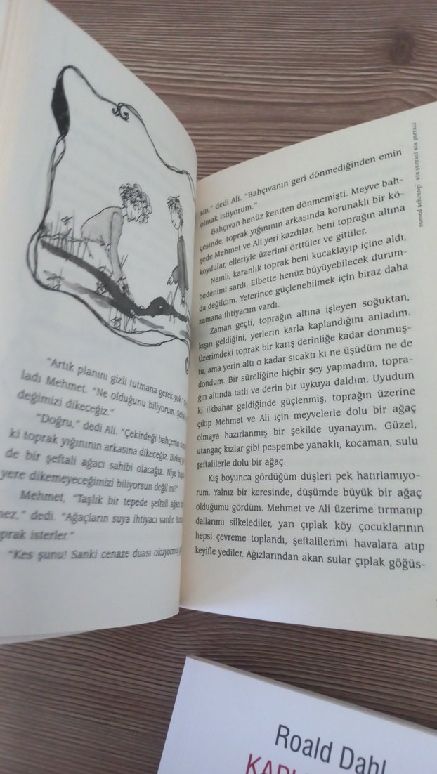 Bir Şeftali Bin Şeftali - Samed Behrengi can çocuk - Görsel 4