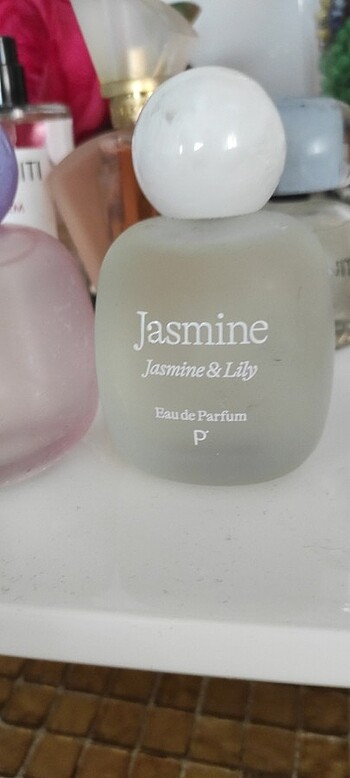 Beden JASMİNE PENTİNİN
