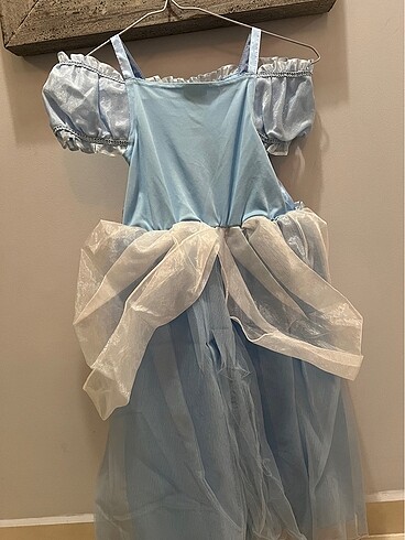 Walt Disney World Cindrella kostümü