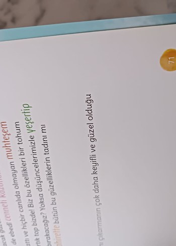 Ne Eksik Ne Fazla - Çocuk Kitabı - Görsel 3
