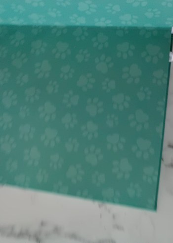 Patili ve Dostları sesli kitap - Görsel 3