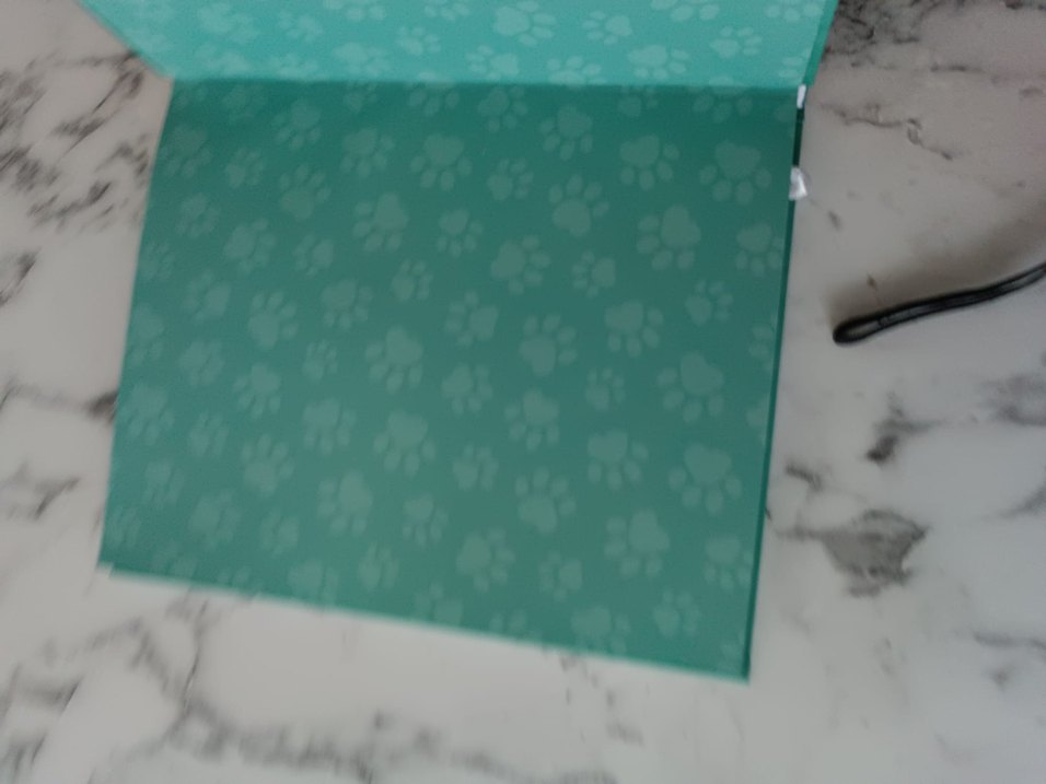 Patili ve Dostları sesli kitap - Görsel 3