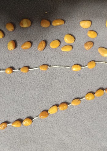 Sarı Minimalist Erkek Tesbih Boncukları
KEHRİBAR KOLYE