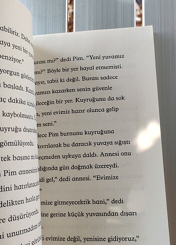 Beden Renk Karıncanın ne olduğunu bilmeyen karıncayiyen, Pes etmeyen tavuk