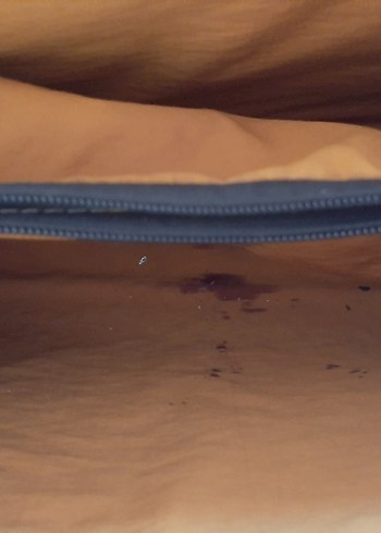 Poll Kadın Çanta - Görsel 5