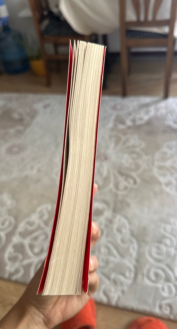 Bir Ömür Nasıl Yaşanır? - İlber Ortaylı - Görsel 2