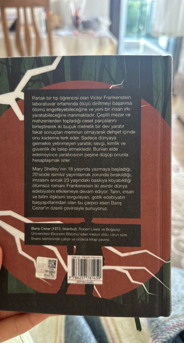 Frankenstein - Mary Shelley - Görsel 2