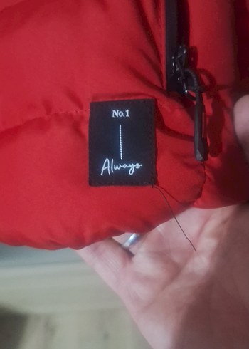 Kırmızı Fermuarlı Erkek Yelek - Görsel 5