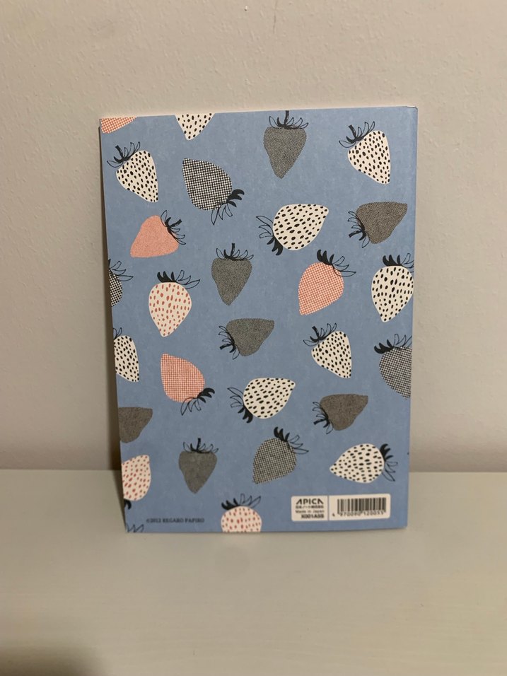 Apica A5 Hocco Çizgili Defter 56 Sayfa - Görsel 2