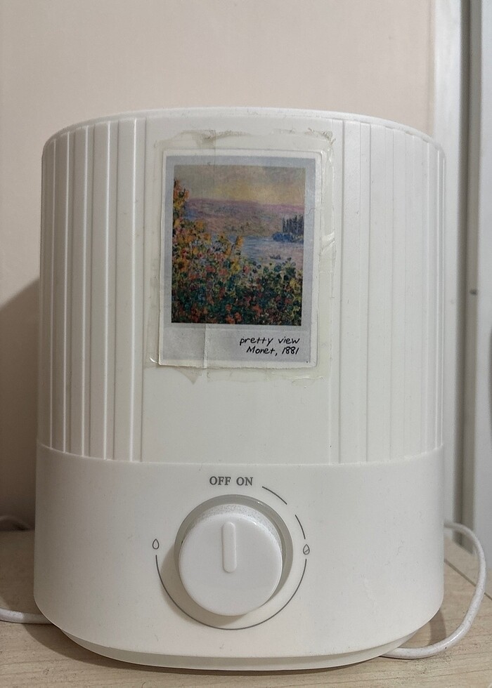 Su buharı makinesi - Görsel 4