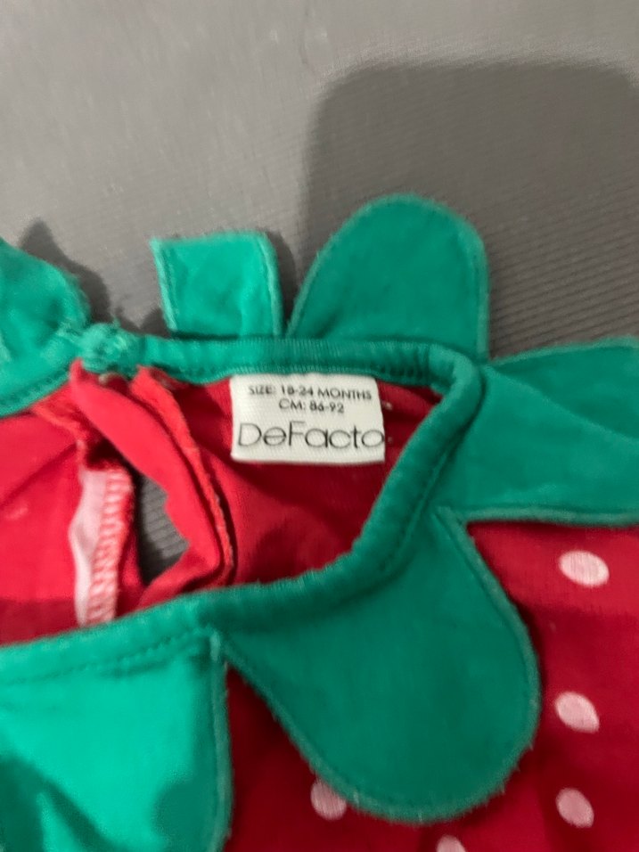 Çilek kostüm - Görsel 3