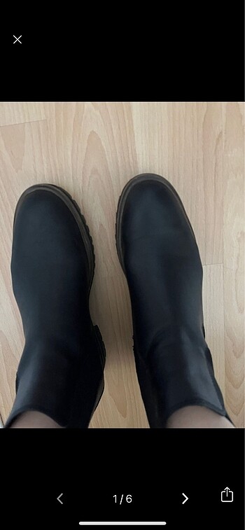 Timberland bot