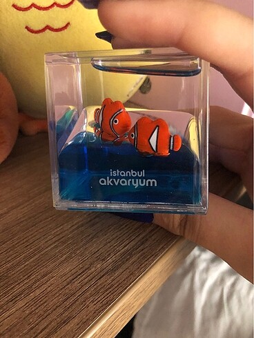  Beden çeşitli Renk Hediyelik eşya kayıp balık memo