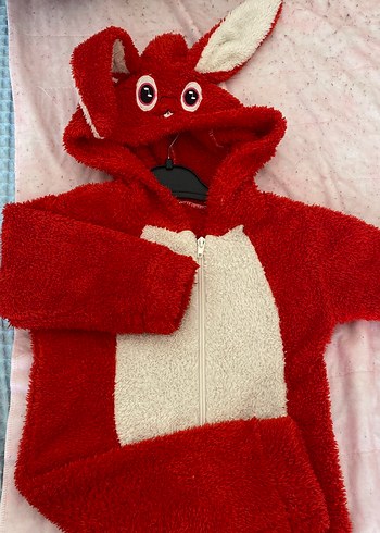 Kırmızı Kapüşonlu Çocuk Battaniyesi - Görsel 3