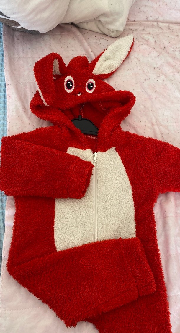 Kırmızı Kapüşonlu Çocuk Battaniyesi - Görsel 3