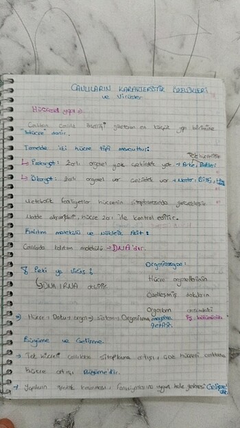 Tyt Biyoloji notları