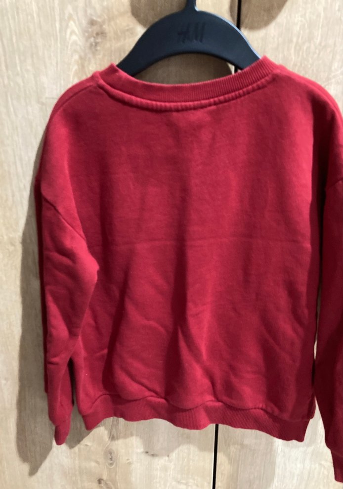 Kırmızı Erkek Çocuk Örme Sweatshirt - Görsel 3