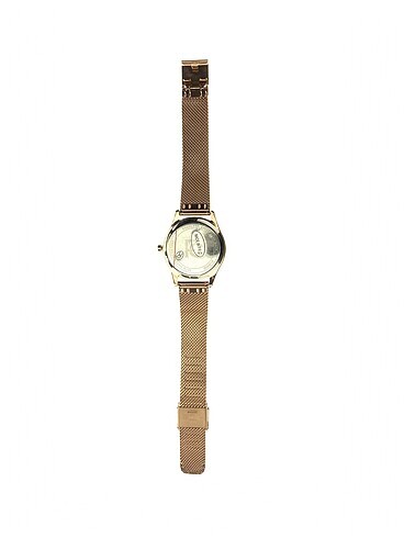 Ferrucci Ferrucci Saat %70 İndirimli.