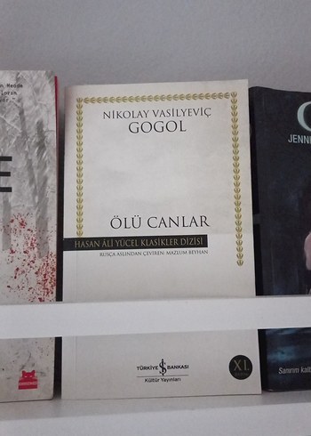 Roman Kitapları - Görsel 11