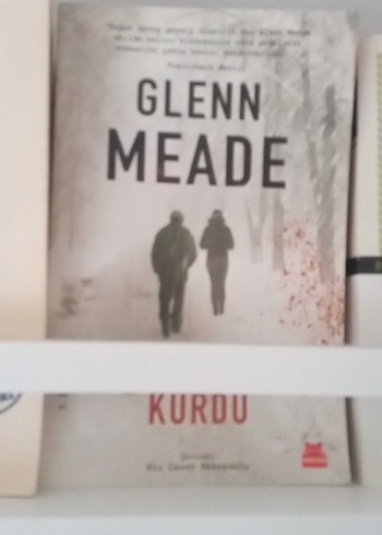 Çeşitli Roman Kitapları Rafı - Görsel 13