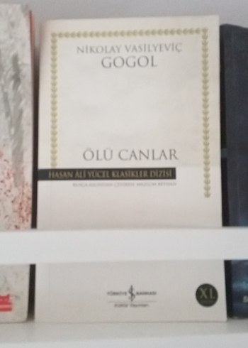 Çeşitli Roman Kitapları Rafı - Görsel 12