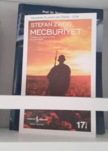 Çeşitli Roman Kitapları Rafı - Görsel 10