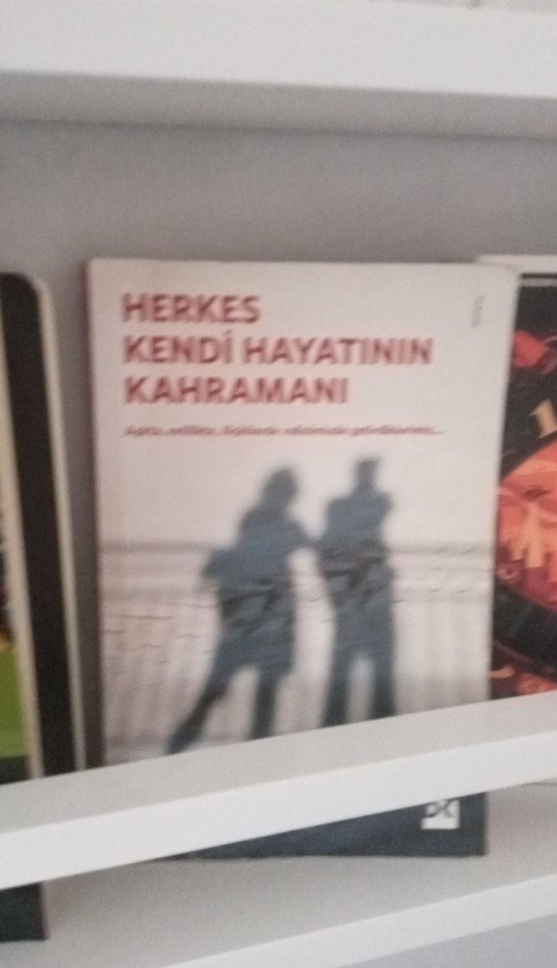 Çeşitli Roman Kitapları Rafı - Görsel 3