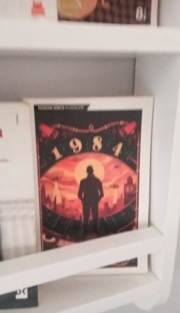 Çeşitli Roman Kitapları Rafı - Görsel 4