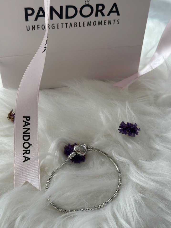 Pandora Kalp Klips Bileklik - Görsel 4