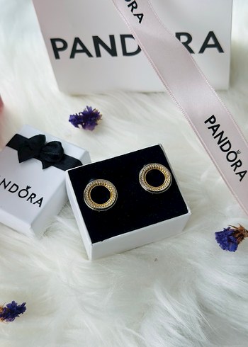 Pandora Işıltılı Yuvarlak Çivi Küpe - Görsel 3